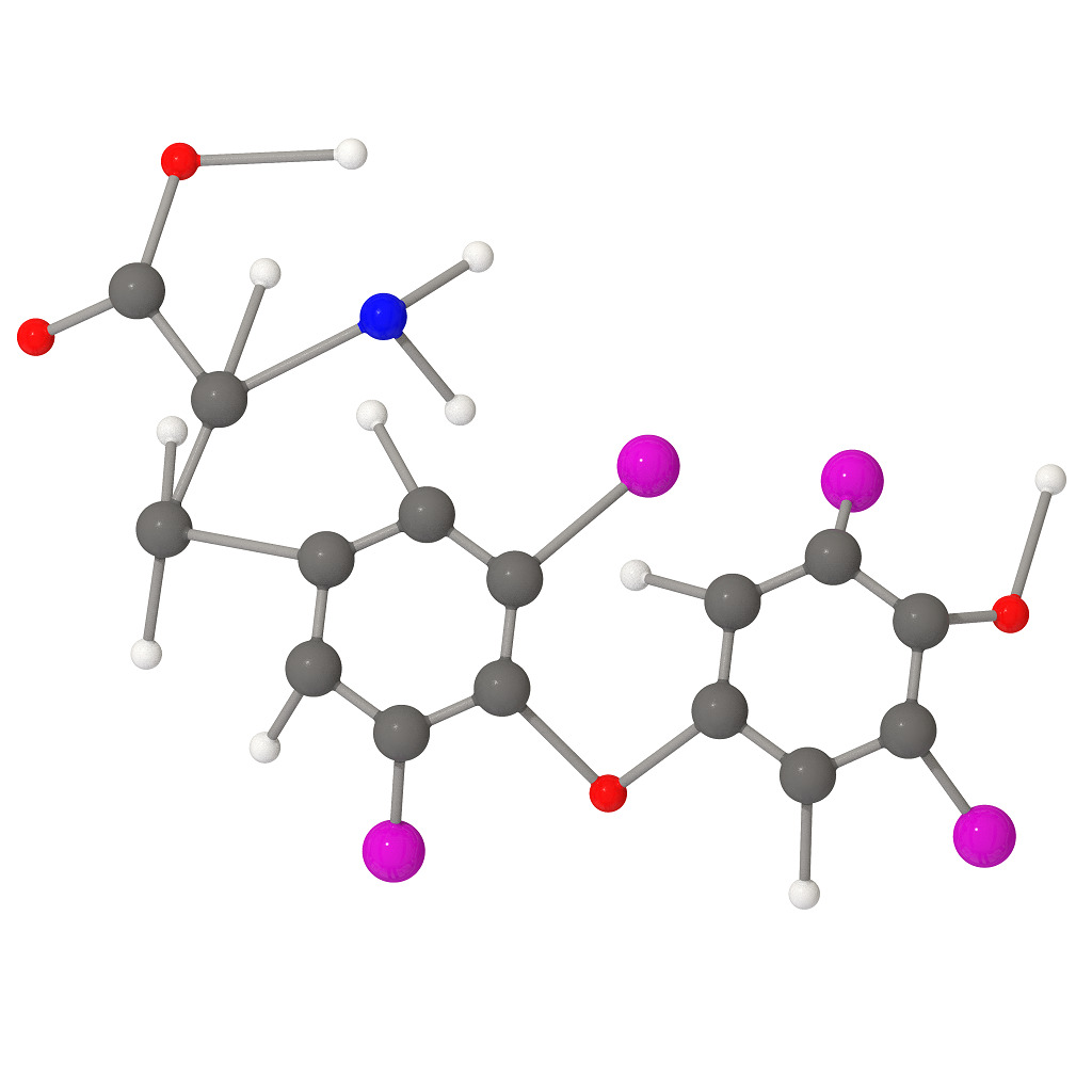 Levothyroxine Molecular Structure 3D print model_3