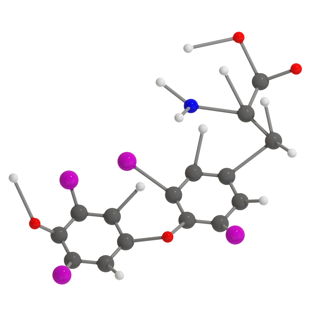 Levothyroxine Molecular Structure 3D print model_2