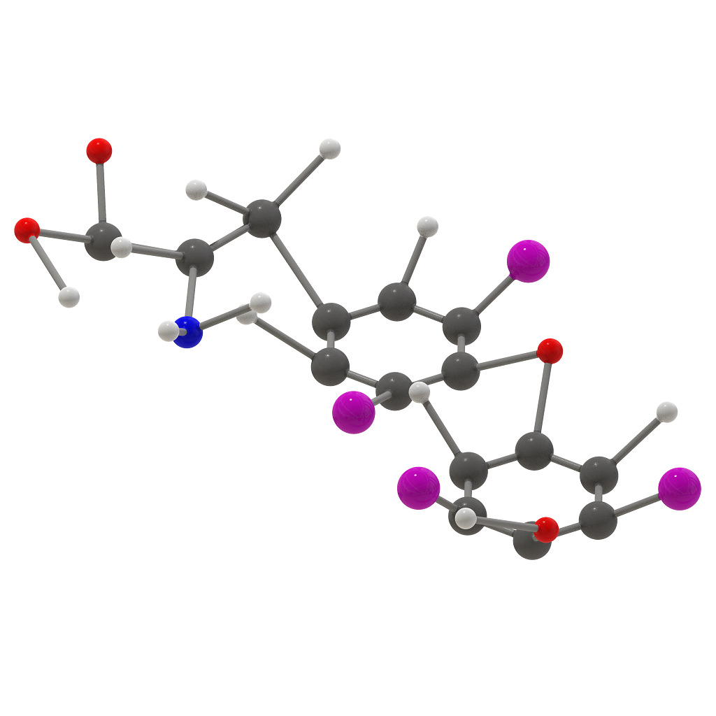 Levothyroxine Molecular Structure 3D print model_1