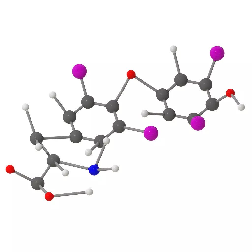 Levothyroxine Molecular Structure 3D print model_0