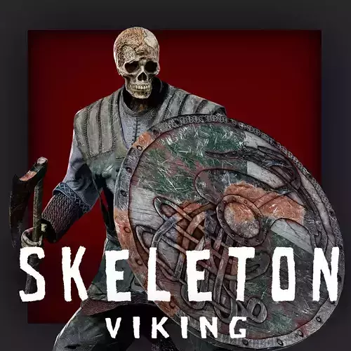 VIKING SKELETON 1 