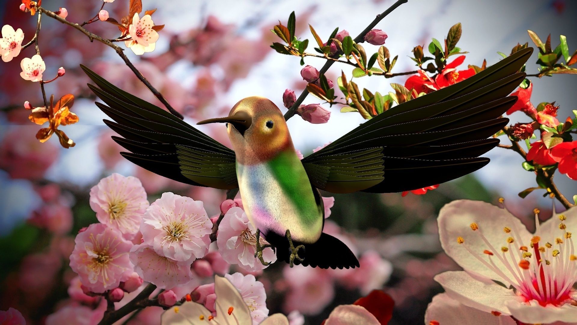 HummingBird flying in cherry blossoms 3D model_13