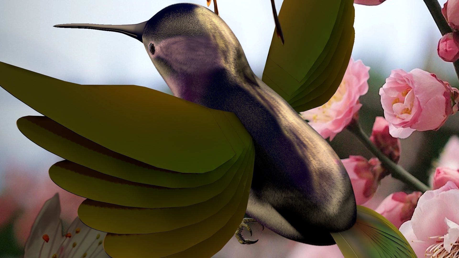 HummingBird flying in cherry blossoms 3D model_5
