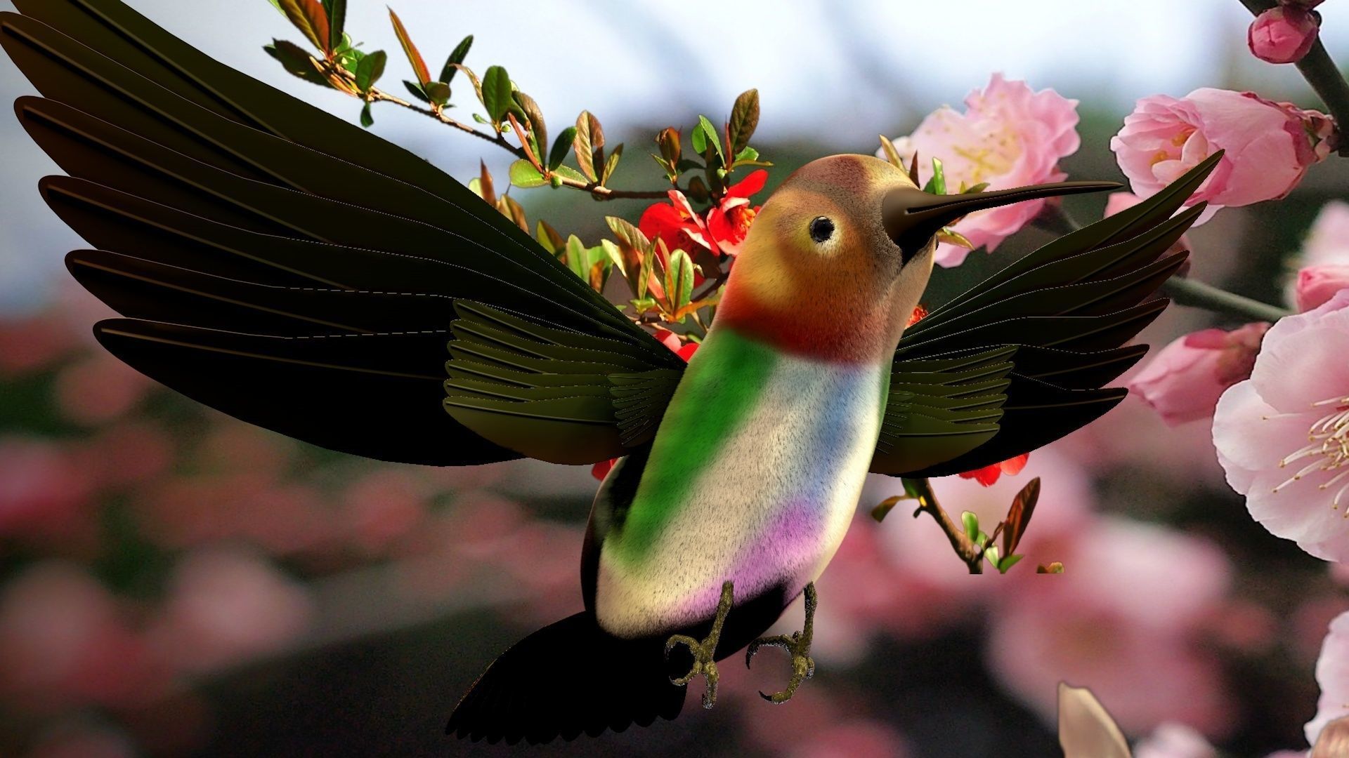 HummingBird flying in cherry blossoms 3D model_2