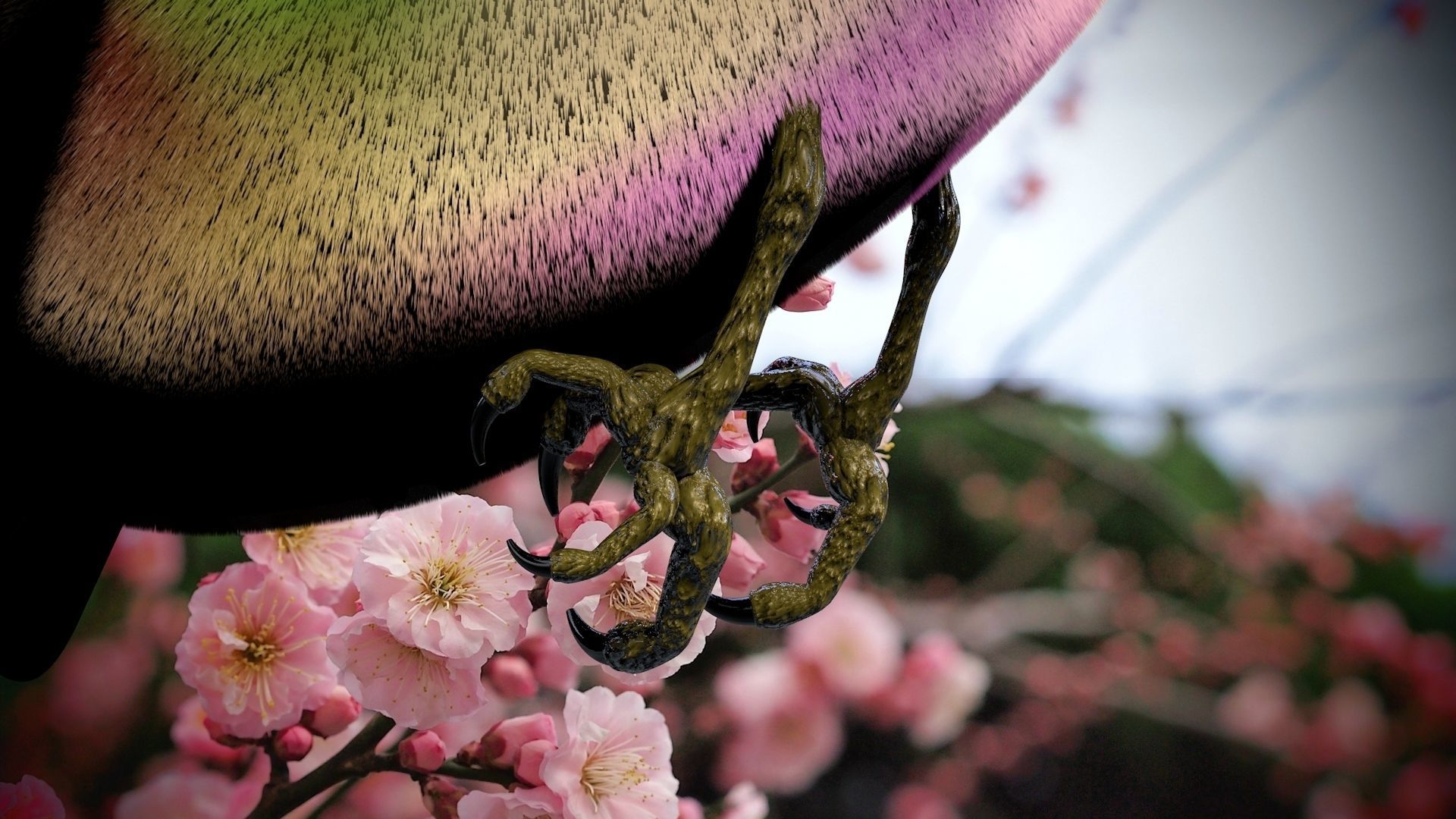 HummingBird flying in cherry blossoms 3D model_18