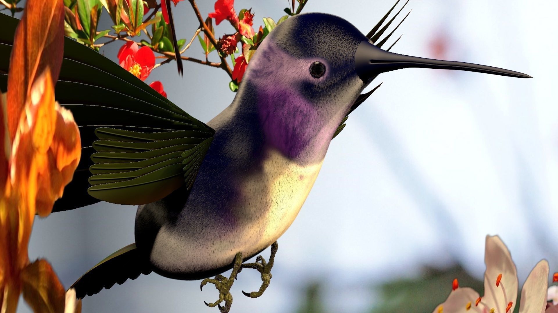 HummingBird flying in cherry blossoms 3D model_7