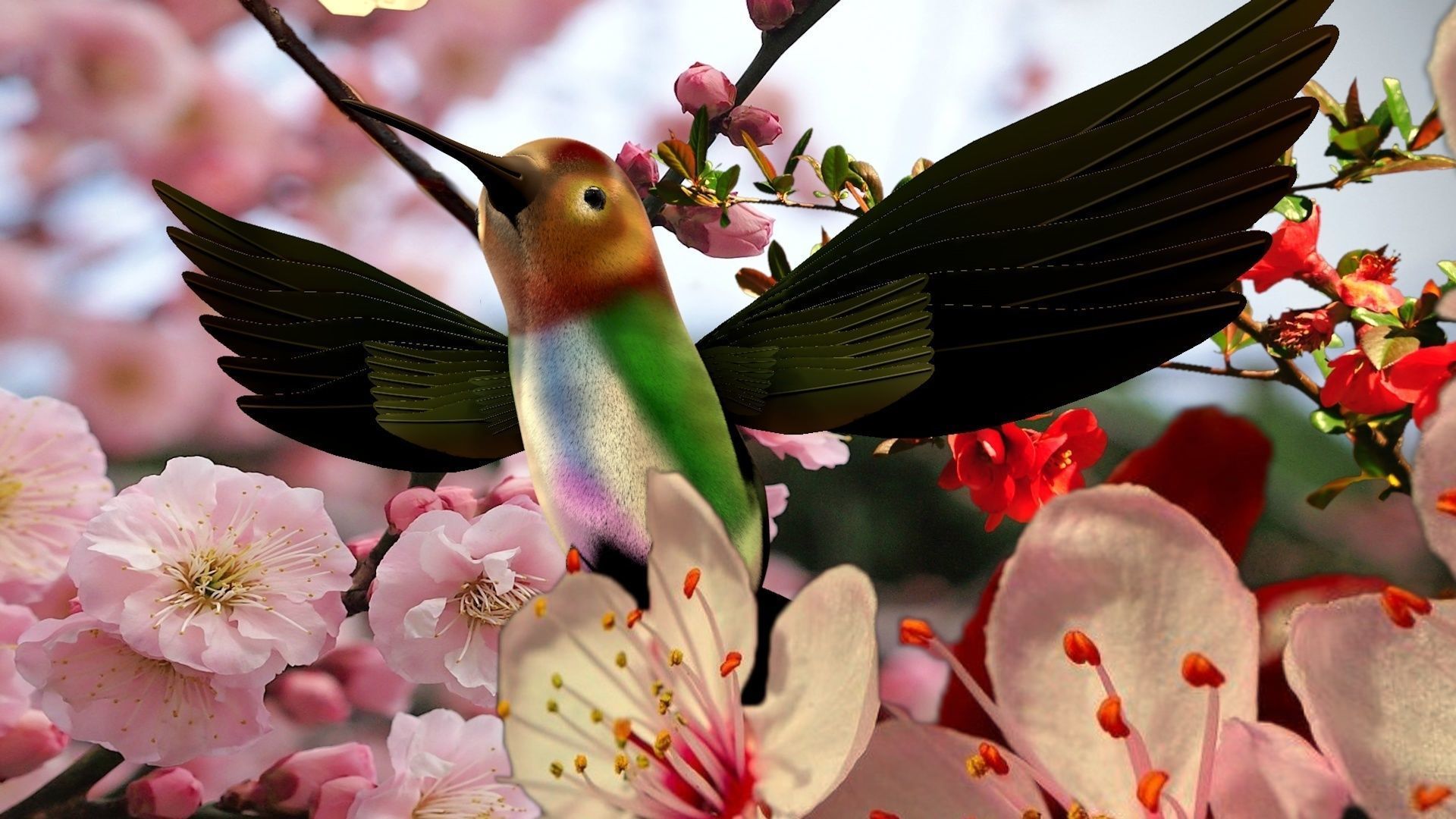 HummingBird flying in cherry blossoms 3D model_9