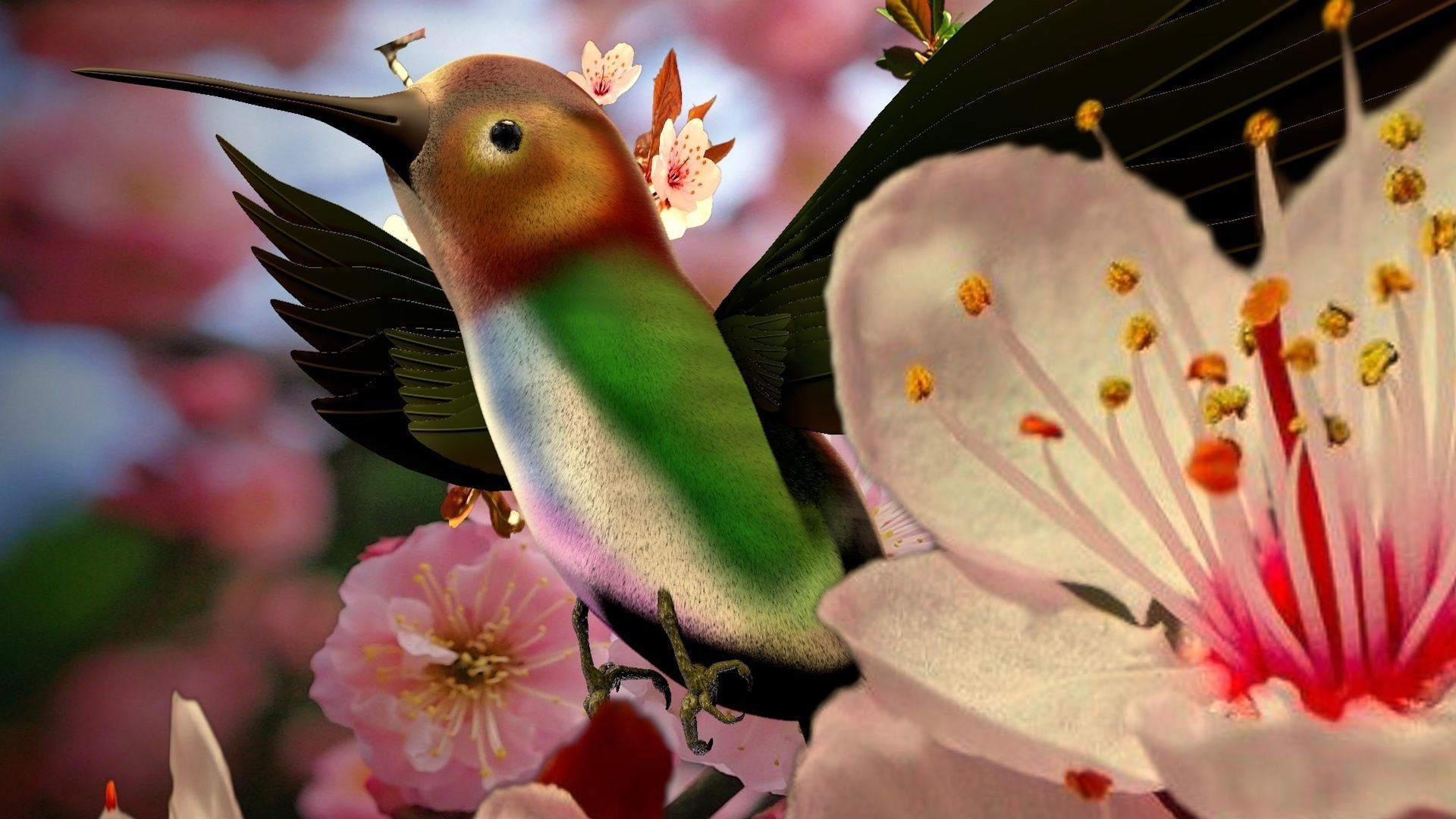 HummingBird flying in cherry blossoms 3D model_10