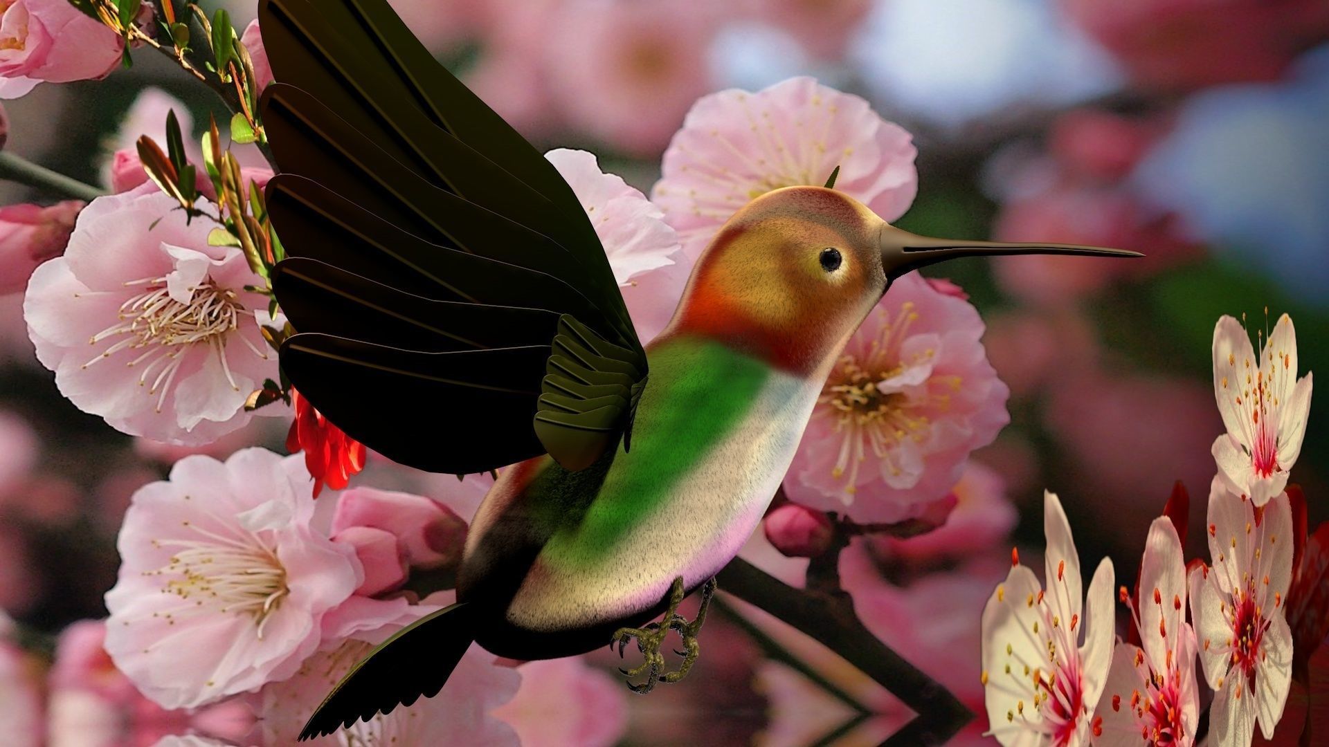 HummingBird flying in cherry blossoms 3D model_8