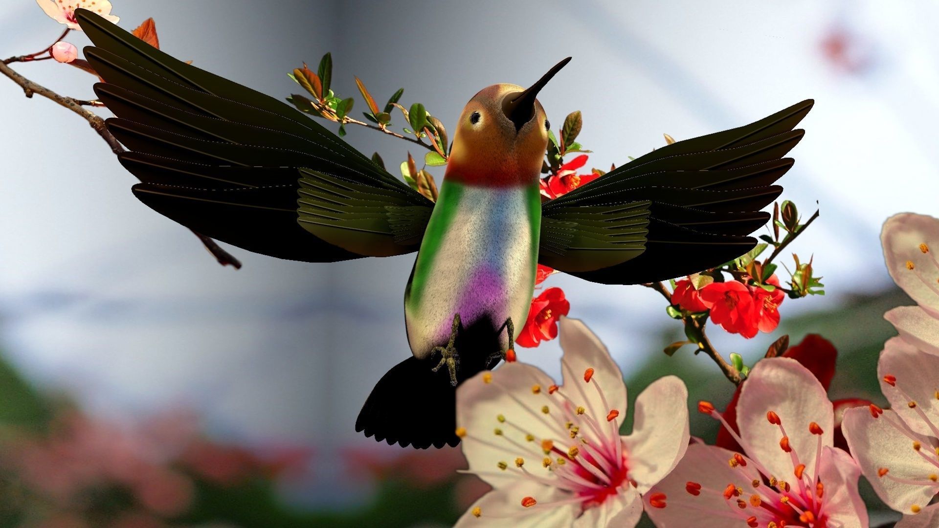 HummingBird flying in cherry blossoms 3D model_3