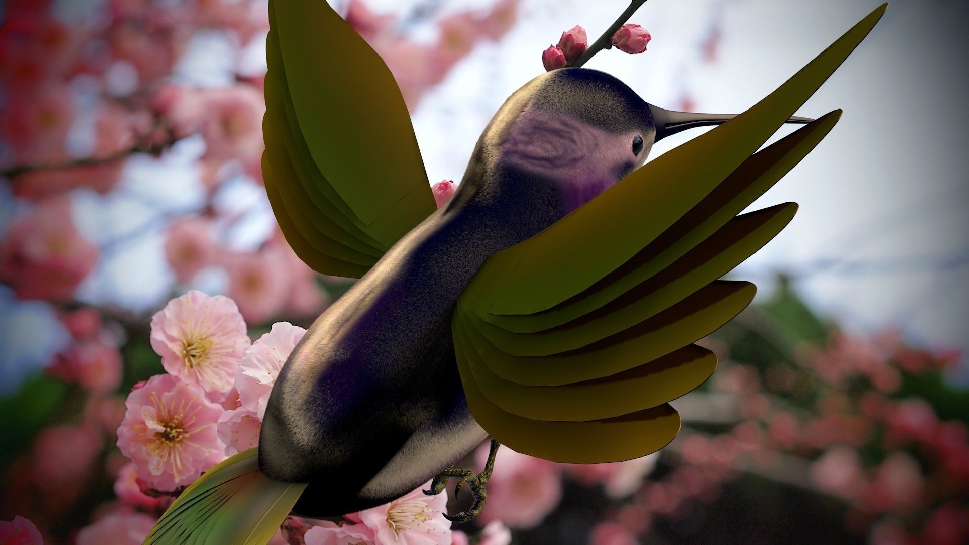 HummingBird flying in cherry blossoms 3D model_14