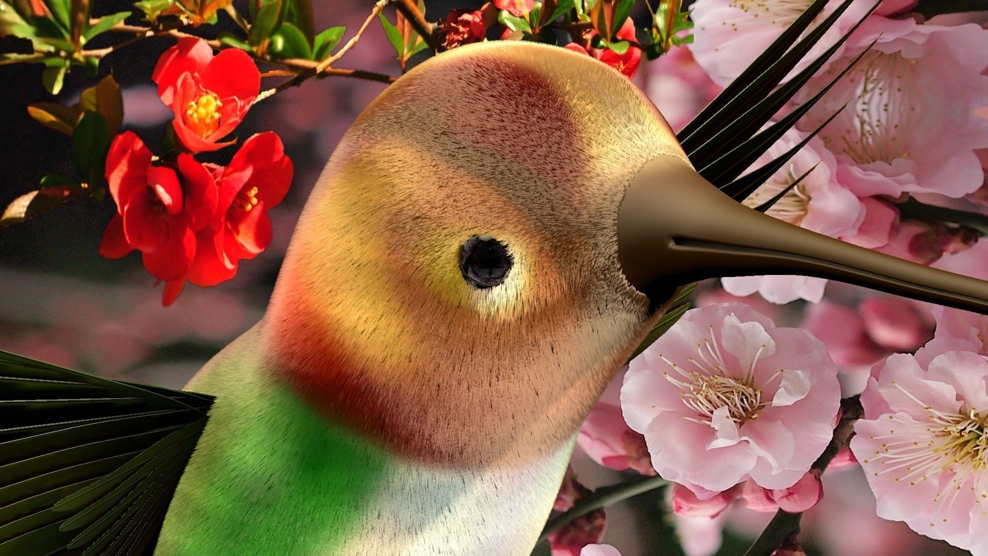 HummingBird flying in cherry blossoms 3D model_4
