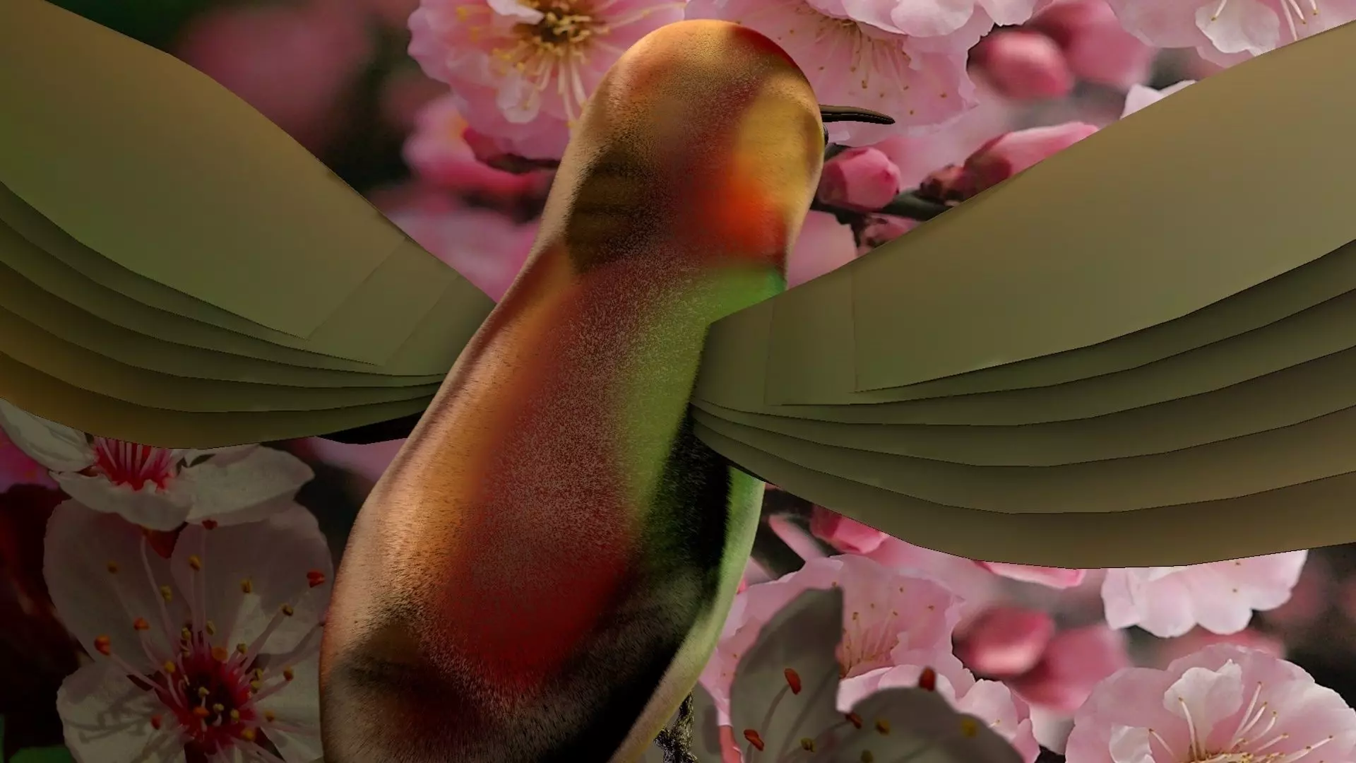 HummingBird flying in cherry blossoms 3D model_0