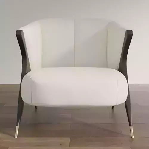 Designer Lounge Chair