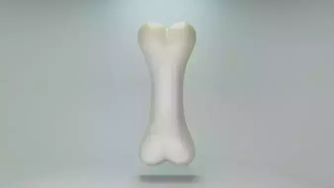 Gummy bone 3D print model