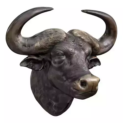 Mighty Buffalo Portra