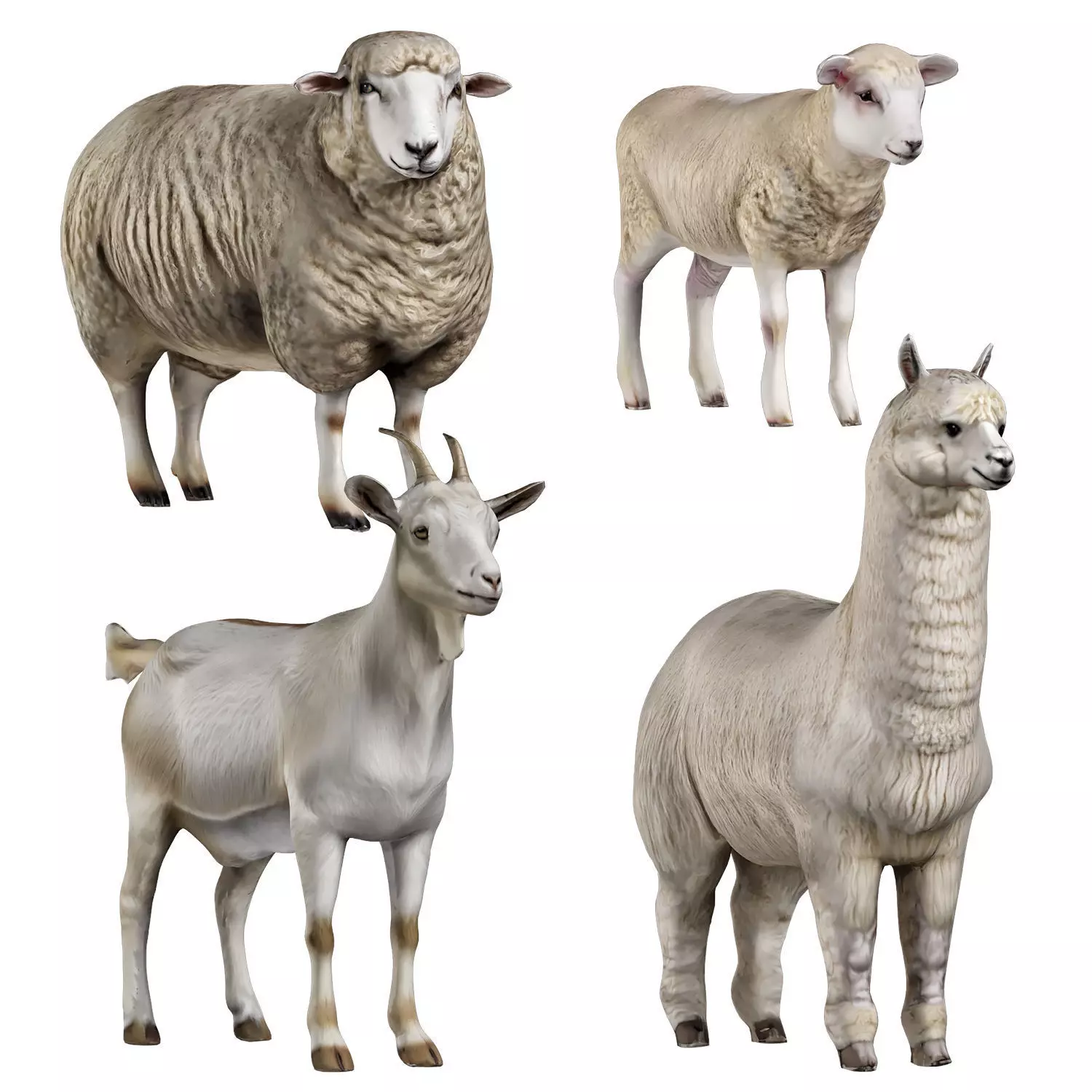 Farm animals 1 3D model