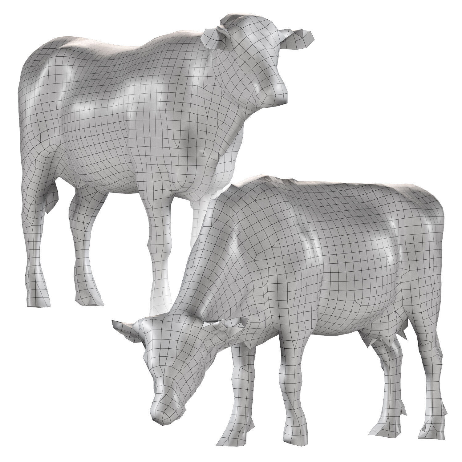 Cows 3d 3D model_3