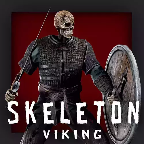 VIKING SKELETON 4