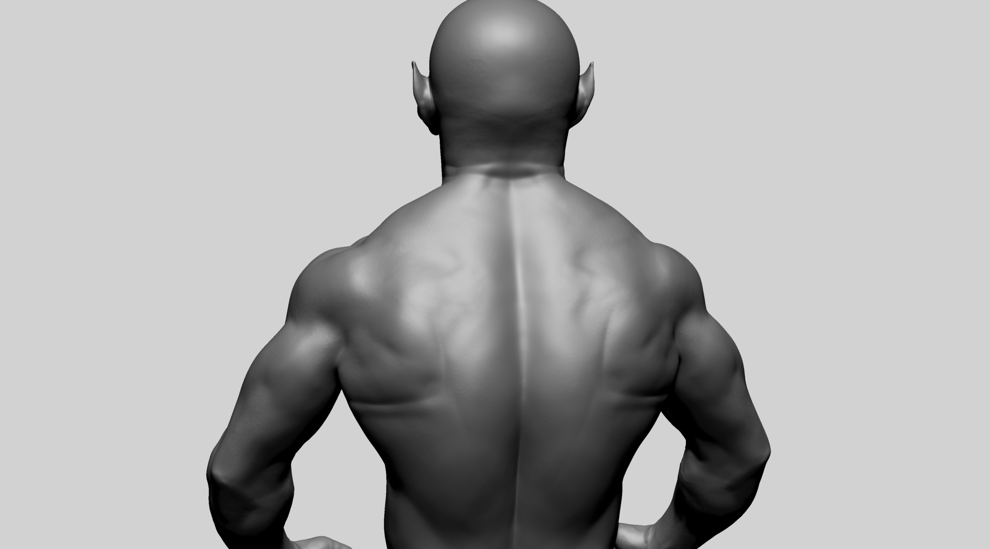 Fantasy Male Anatomy D 3D model_12