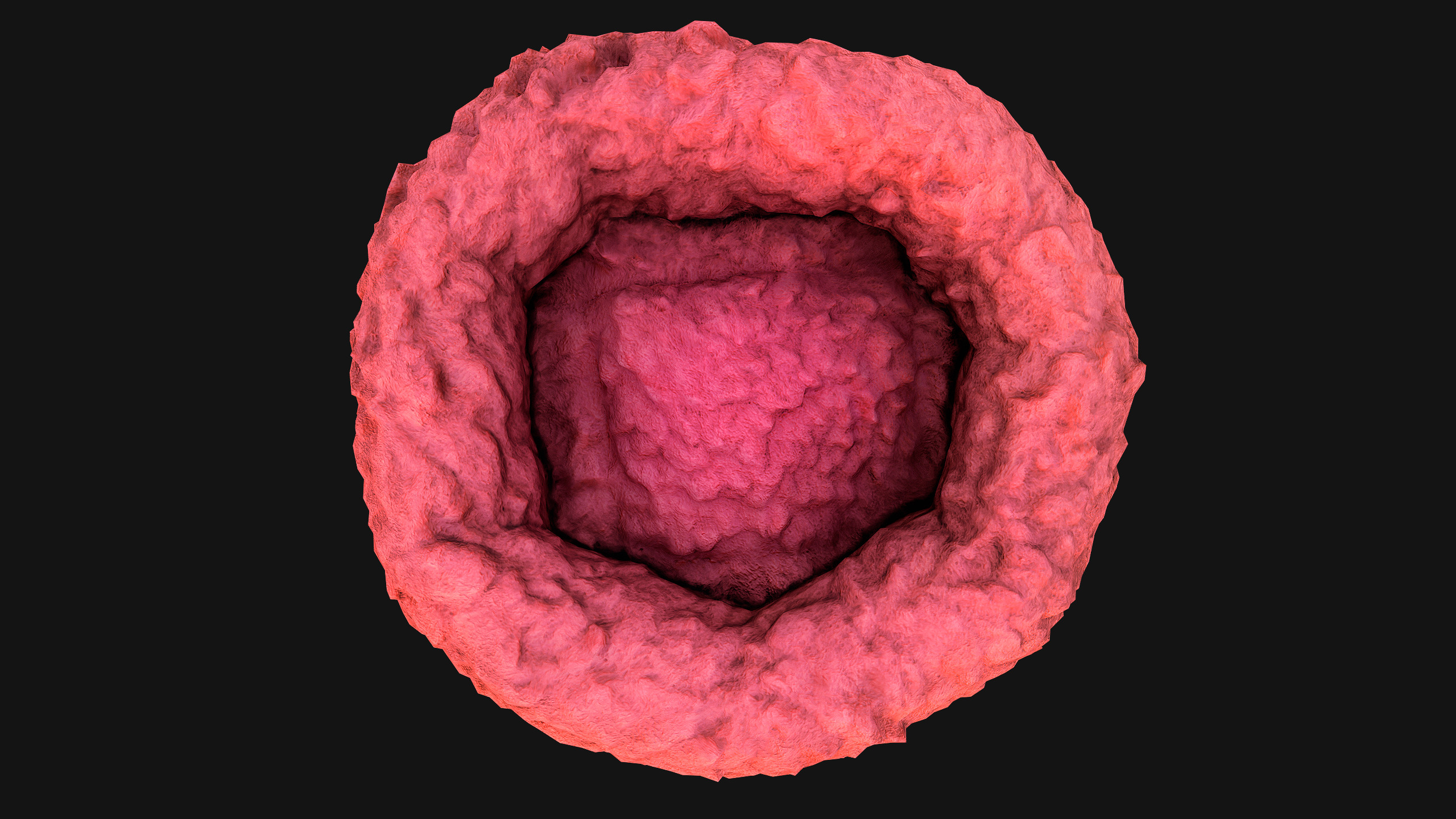 Bed for Pet Hamster Rodent Rat Low-poly 3D model_16