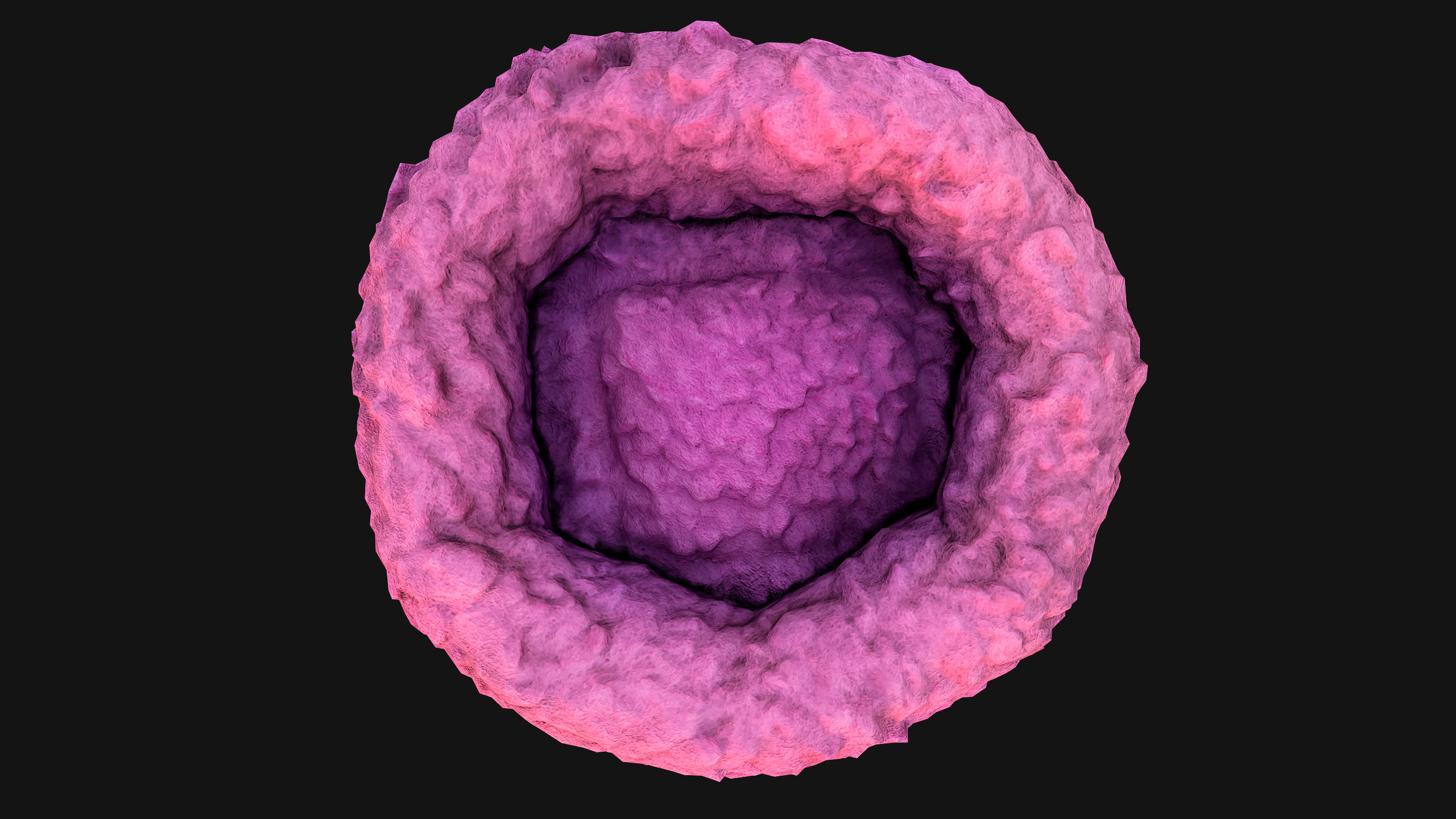 Bed for Pet Hamster Rodent Rat Low-poly 3D model_15