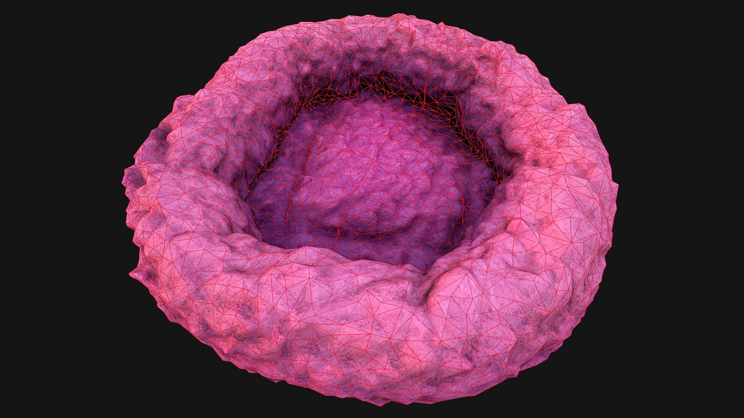 Bed for Pet Hamster Rodent Rat Low-poly 3D model_21