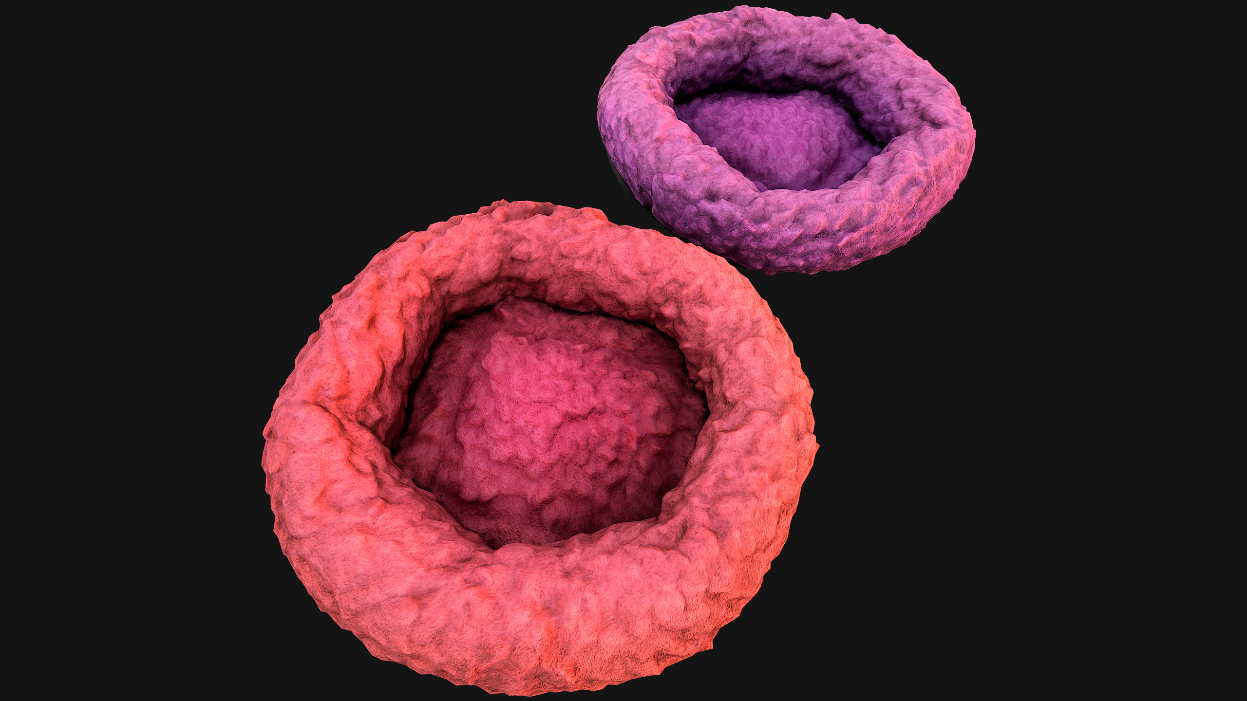 Bed for Pet Hamster Rodent Rat Low-poly 3D model_23