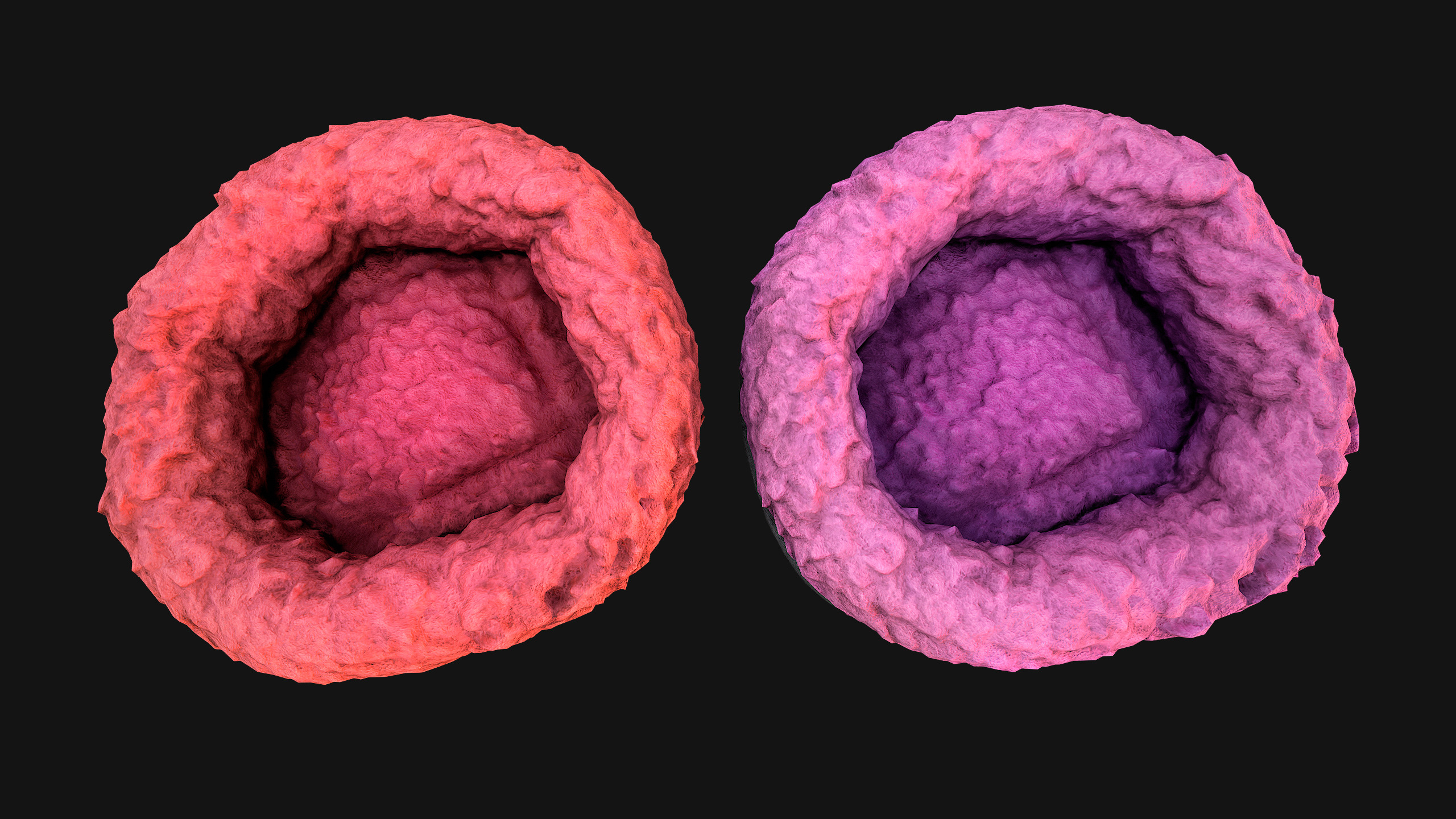 Bed for Pet Hamster Rodent Rat Low-poly 3D model_6