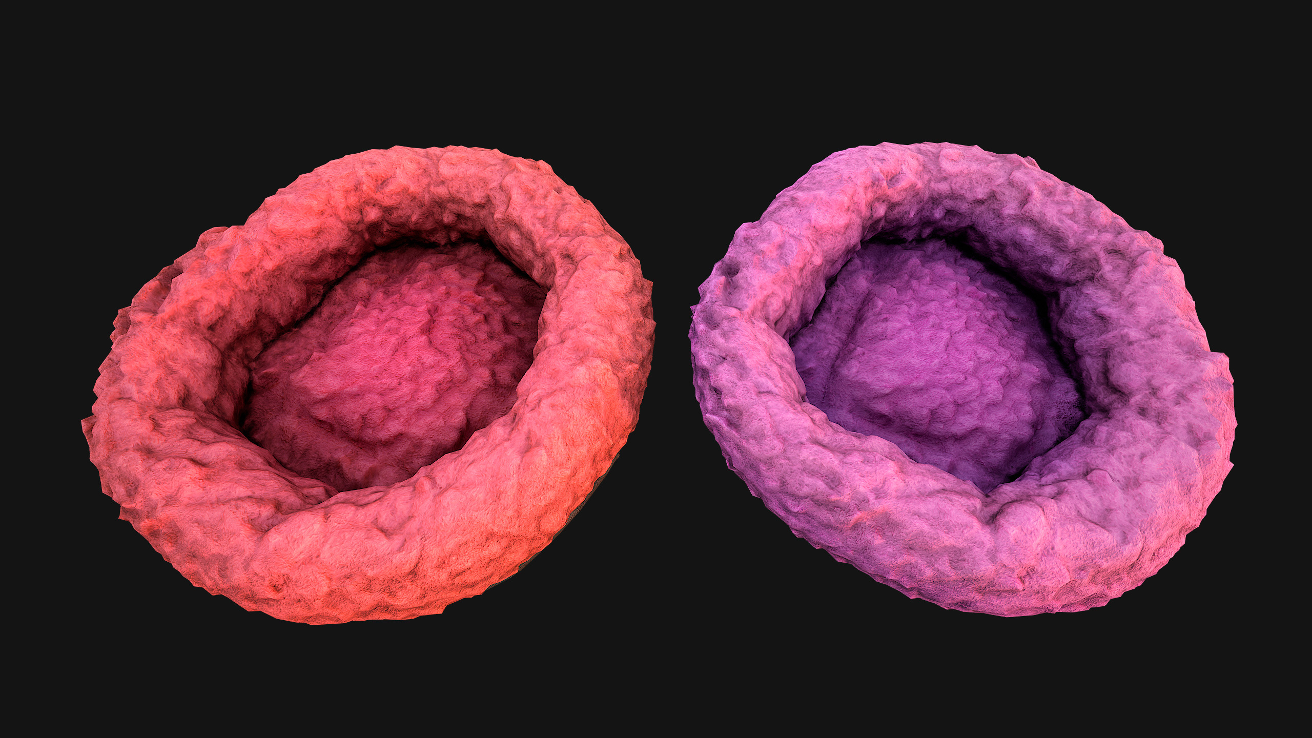 Bed for Pet Hamster Rodent Rat Low-poly 3D model_4