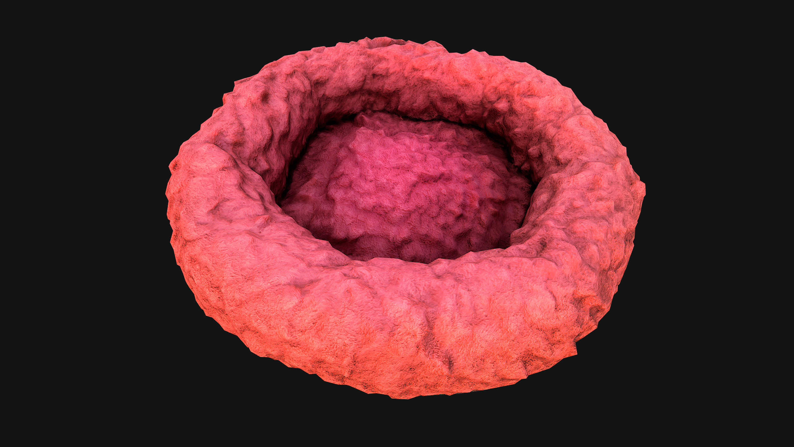 Bed for Pet Hamster Rodent Rat Low-poly 3D model_13