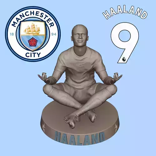 ERLING HAALAND - MANCHESTER CITY FOOTBALL PLAYER 3D PRINT
