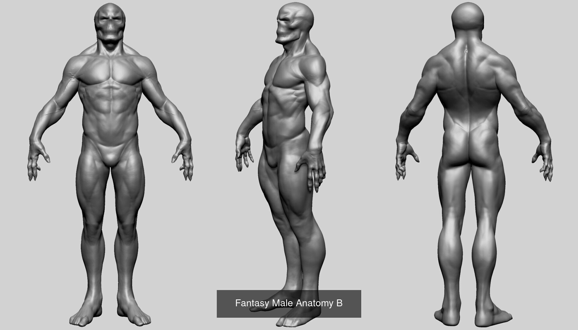 10 Male and Female Anatomy Models 3D Model Collection_5