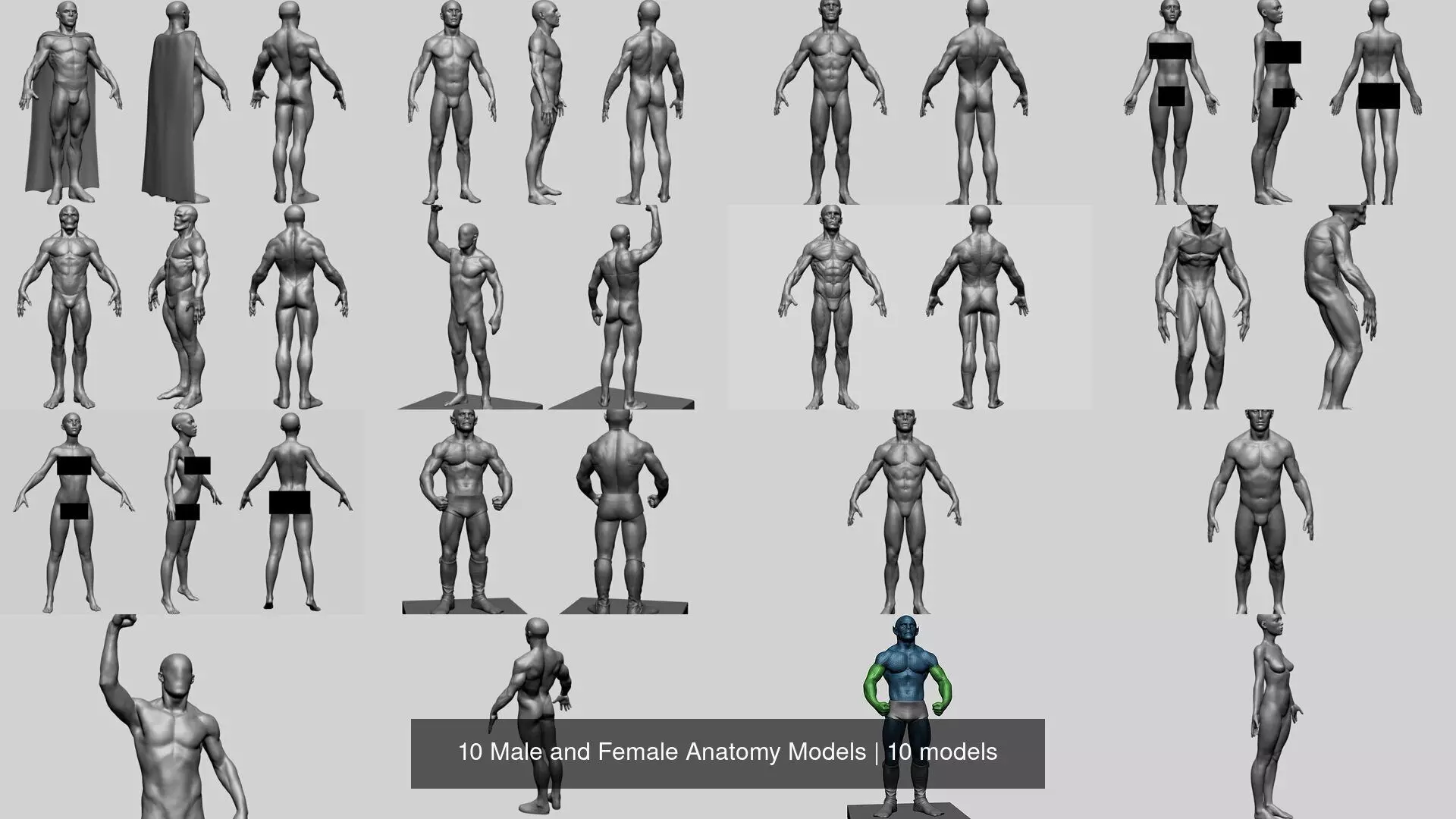 10 Male and Female Anatomy Models 3D Model Collection_0