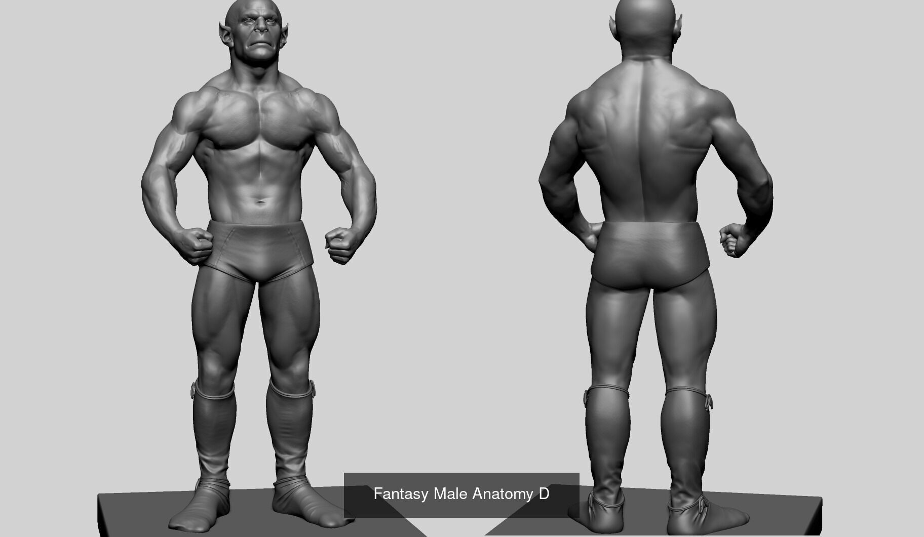 10 Male and Female Anatomy Models 3D Model Collection_10