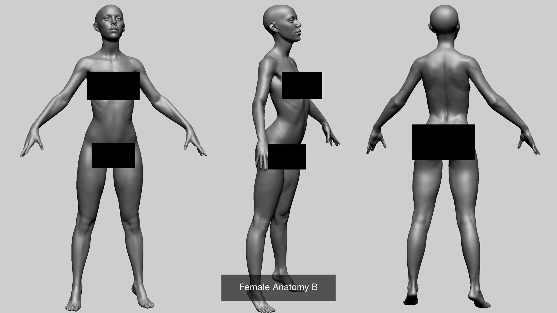 10 Male and Female Anatomy Models 3D Model Collection_9