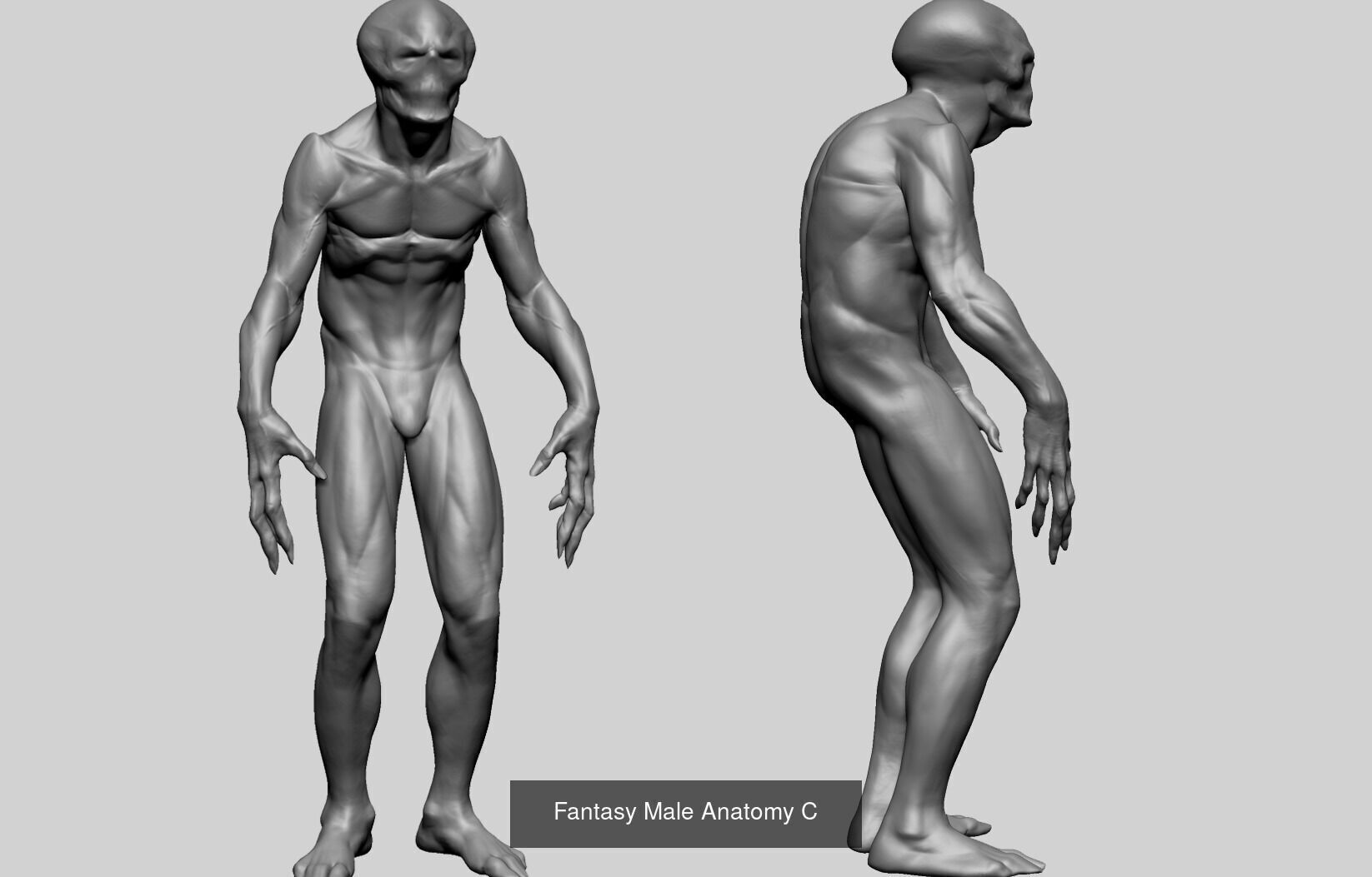 10 Male and Female Anatomy Models 3D Model Collection_8