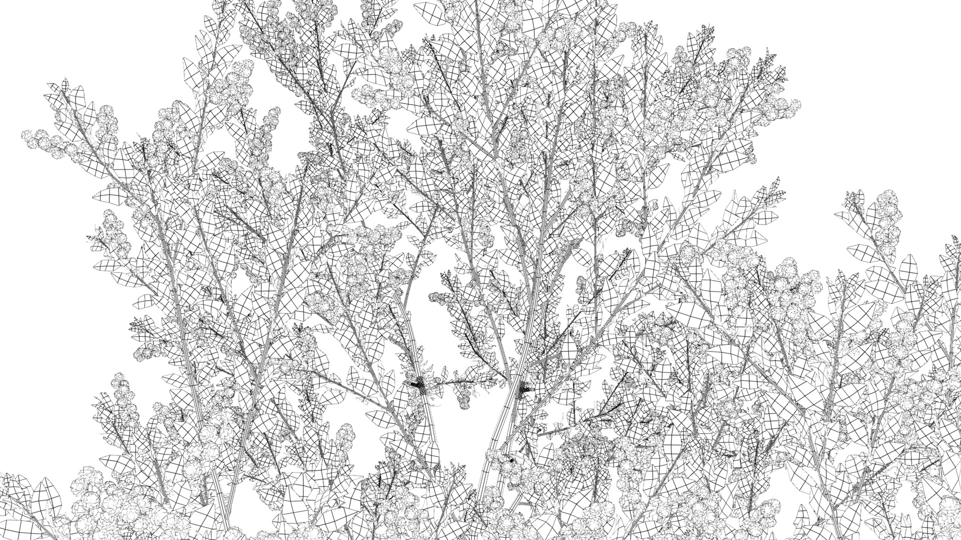 Wonderful Tree Collection All In One Low-poly 3D model_27