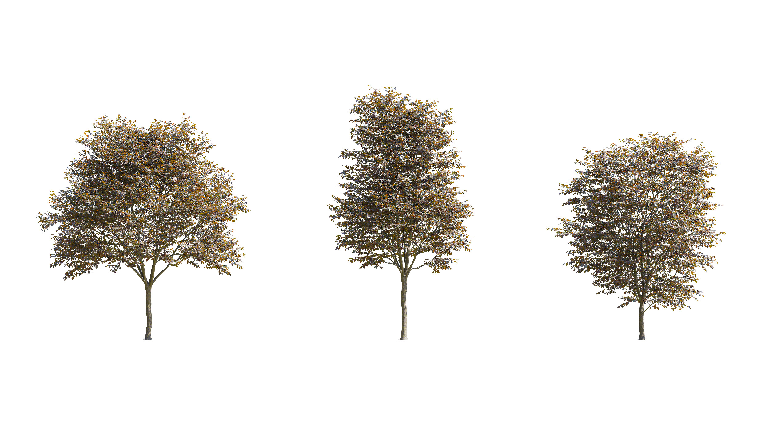 Wonderful Tree Collection All In One Low-poly 3D model_18