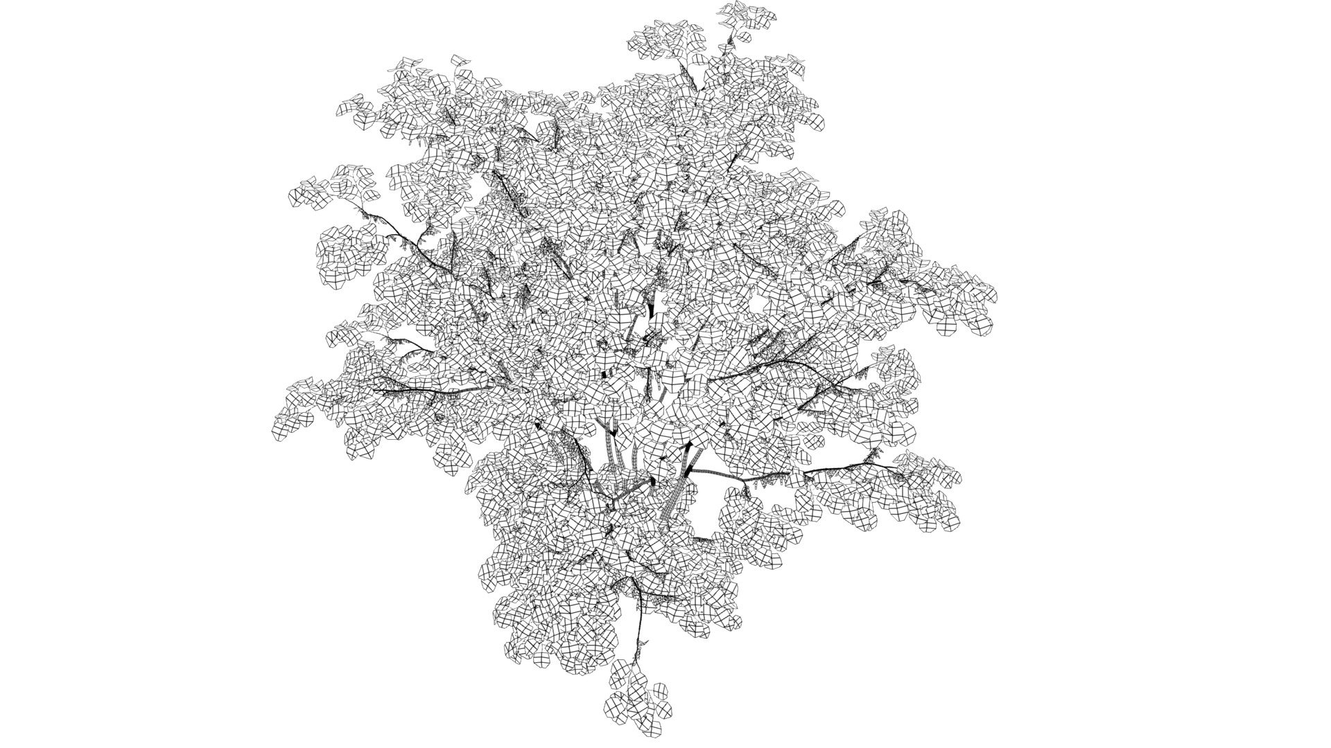 Wonderful Tree Collection All In One Low-poly 3D model_29