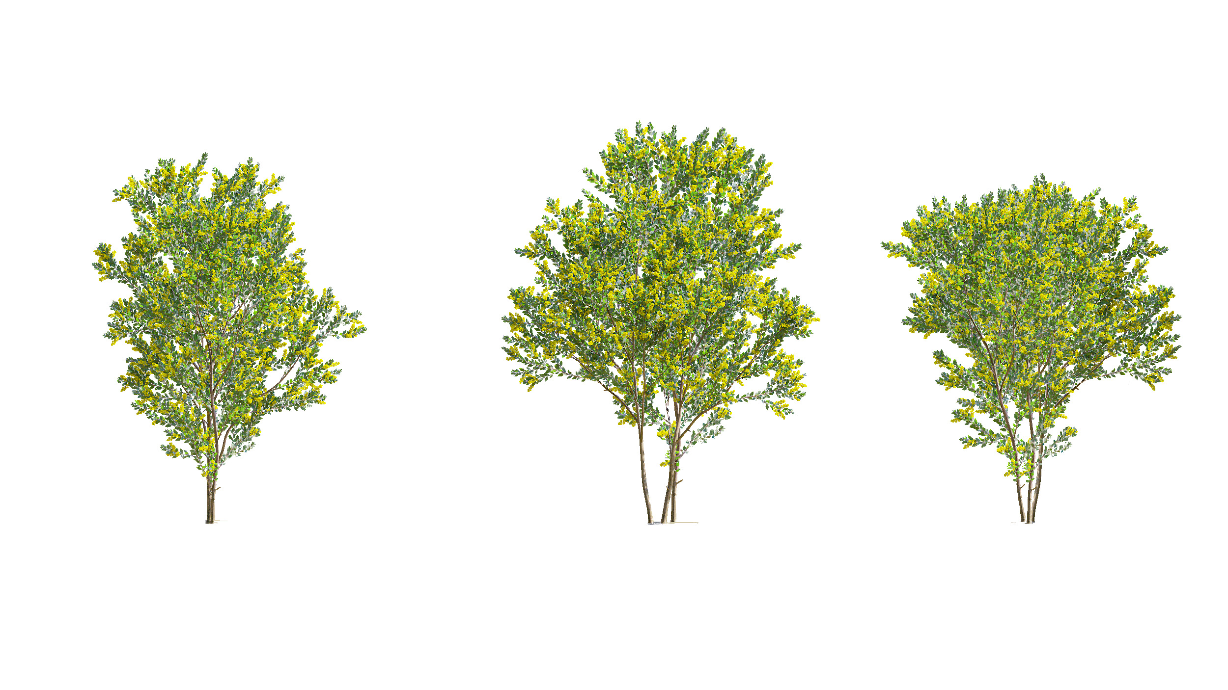 Wonderful Tree Collection All In One Low-poly 3D model_16