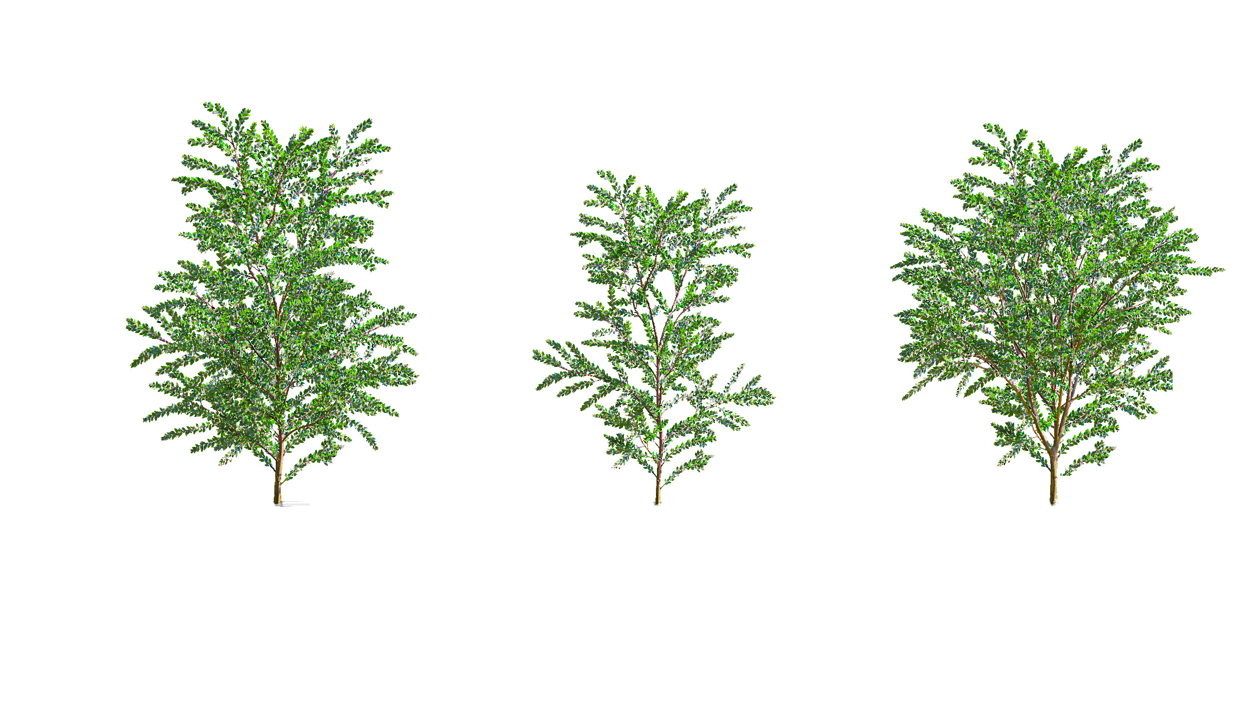 Wonderful Tree Collection All In One Low-poly 3D model_15