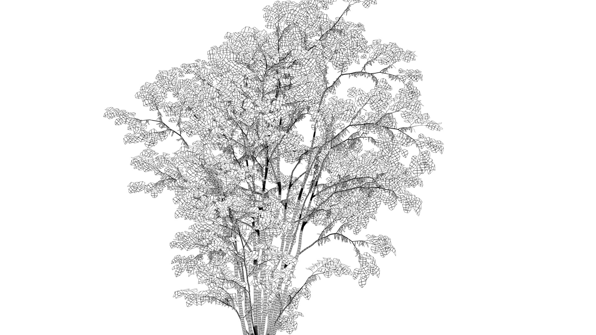 Wonderful Tree Collection All In One Low-poly 3D model_28