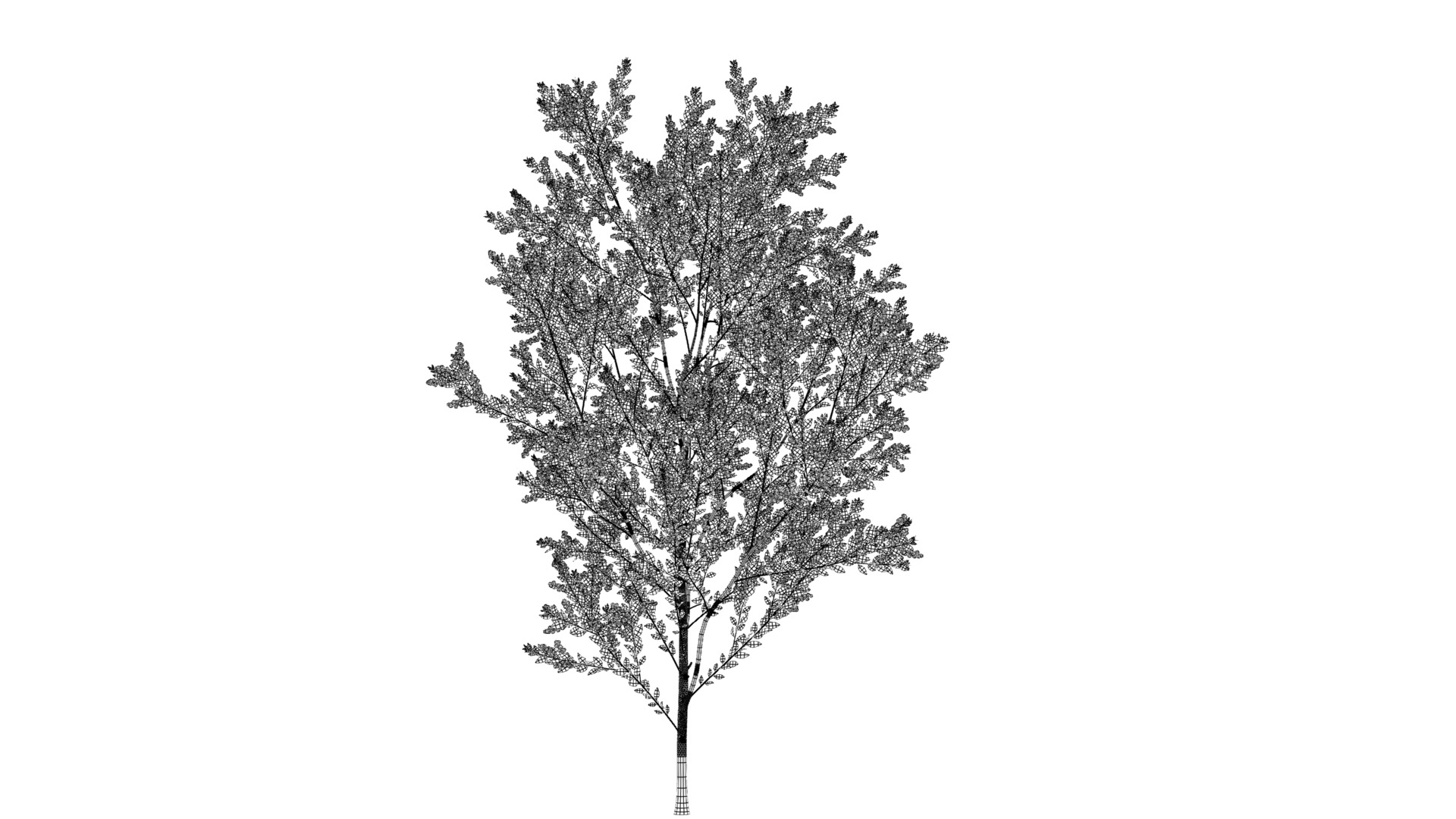 Wonderful Tree Collection All In One Low-poly 3D model_26