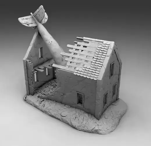 Plane crashed on house