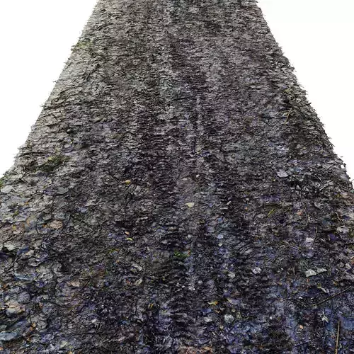 Forest road material N11 8 meters 3D model