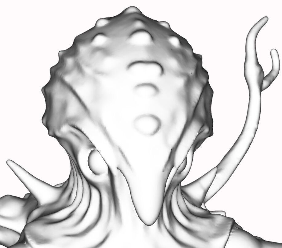 XarvZhul The Thousand-Eyed Herald 3D print model_14