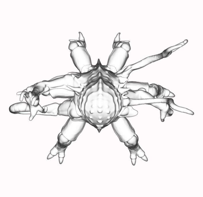 XarvZhul The Thousand-Eyed Herald 3D print model_10