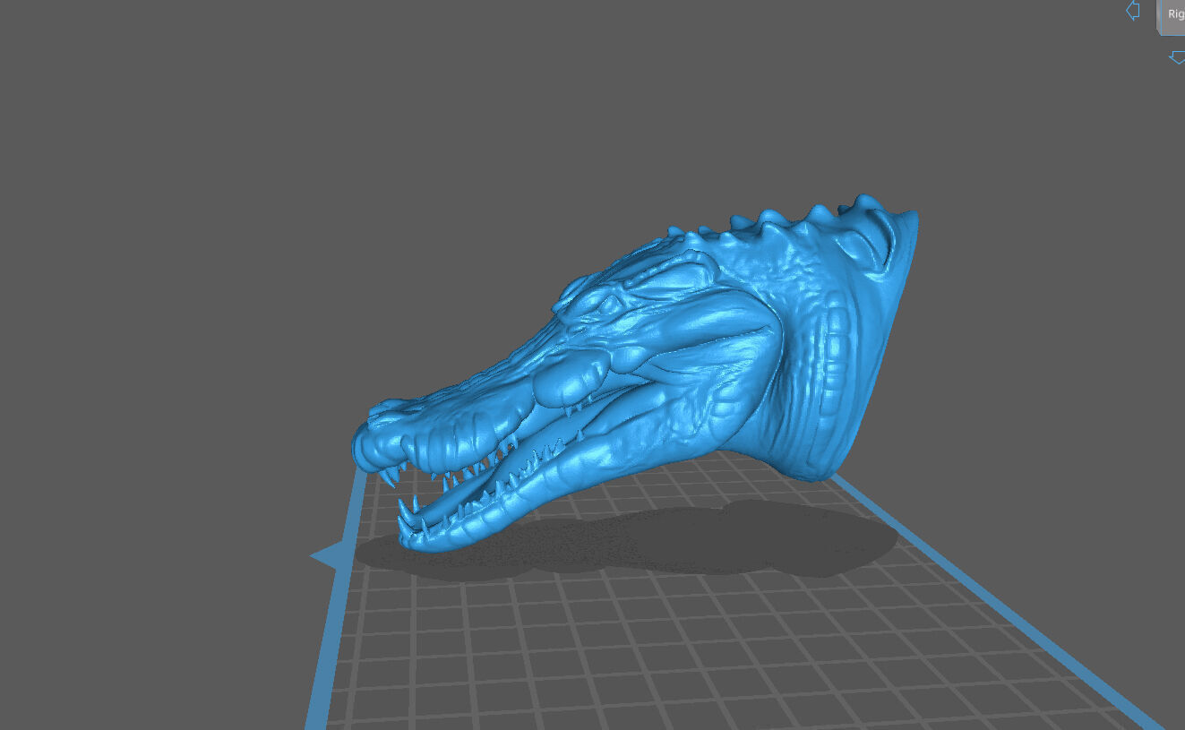 CROCODILE HEAD 3D print model_1