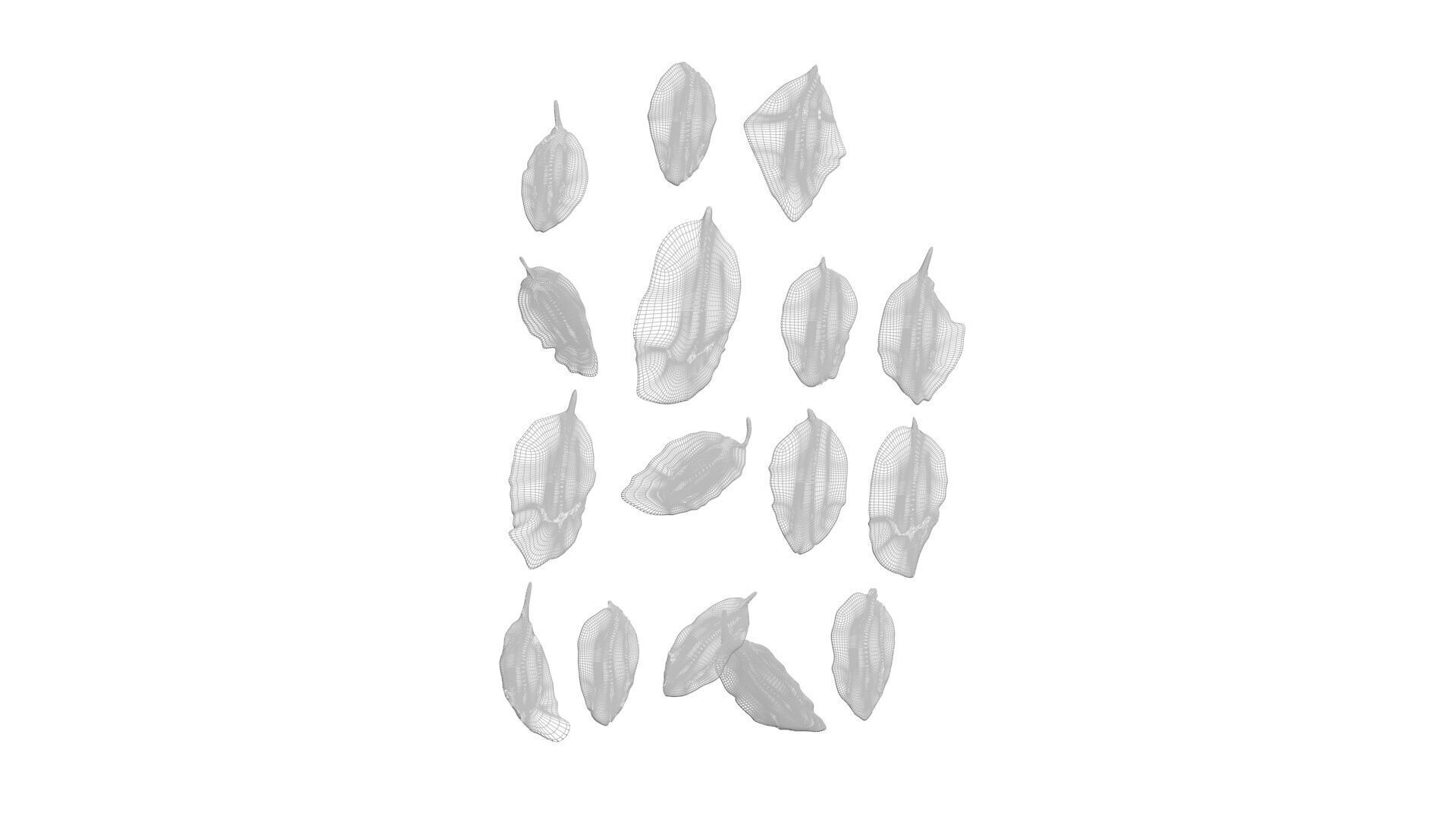 Fresh Basil Leaves Set 3D model_23